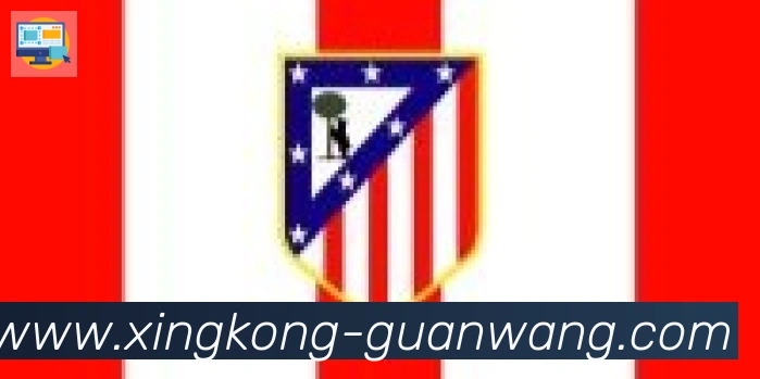 星空体育官网入口合作伙伴