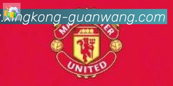 星空体育官网入口合作伙伴